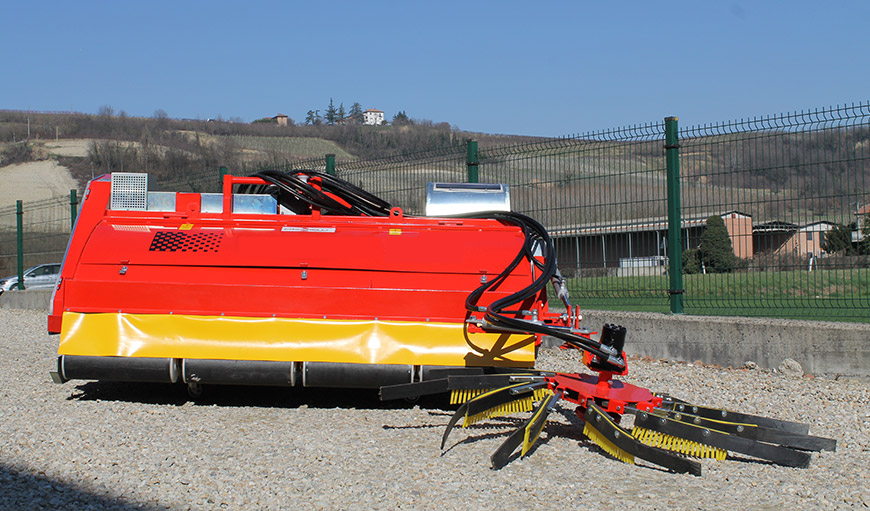 Cassinelli